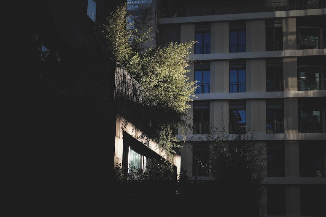 Navigating Sustainable Finance: Practical Tips for Eco-Conscious Investment Image 1
