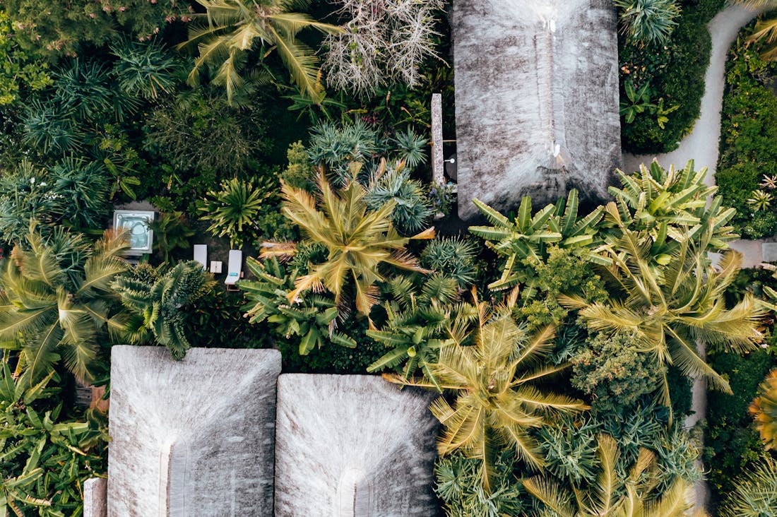 Wanderlust & Wellness: How Travel Can Enhance Your Mental Health and Creativity Image 1
