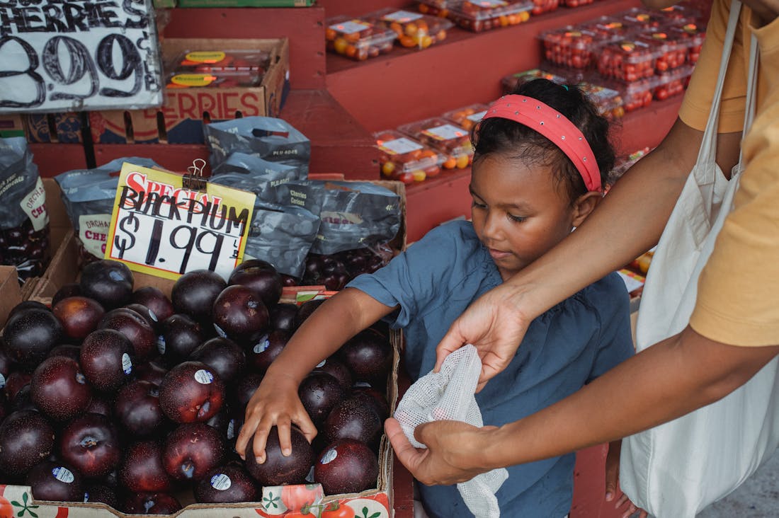 Driving Social Impact Through Lifestyle Choices and Consumerism Image 3