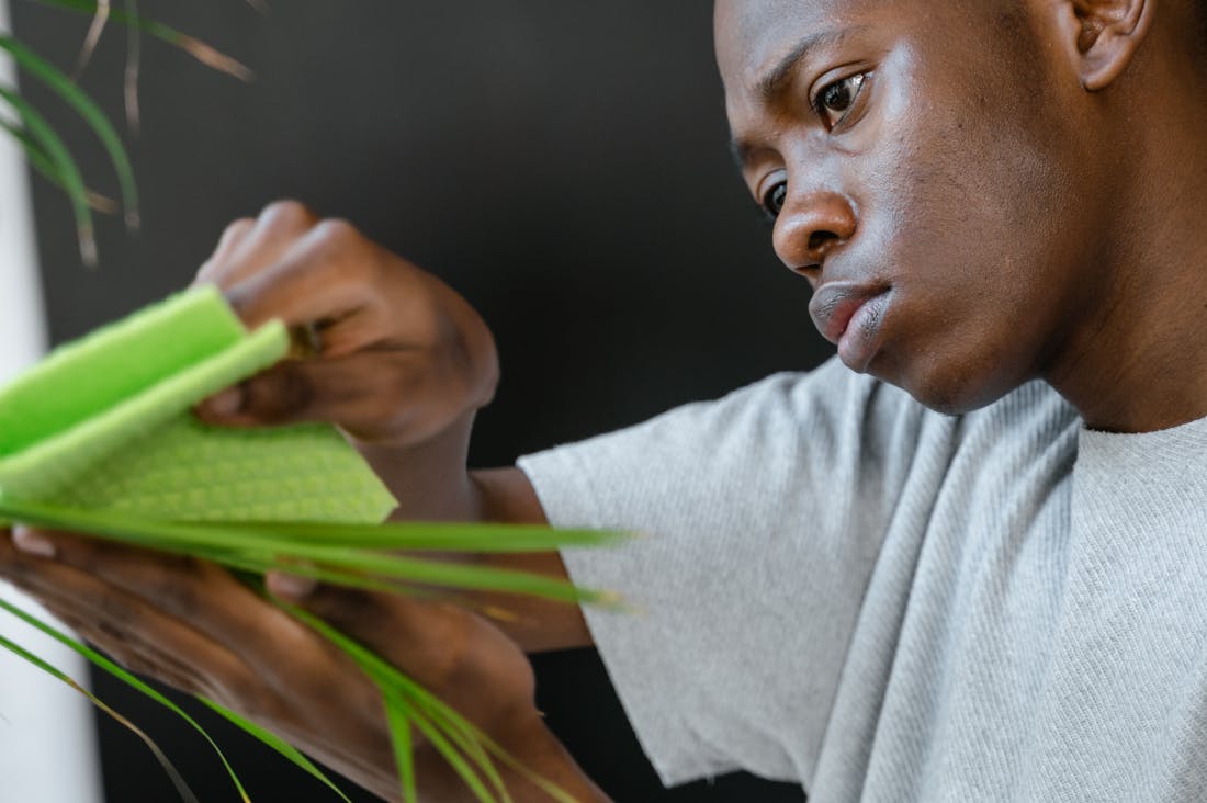 Sustainable Living and its Impact on Our Planet: Practical Steps for a Greener Lifestyle Image 2