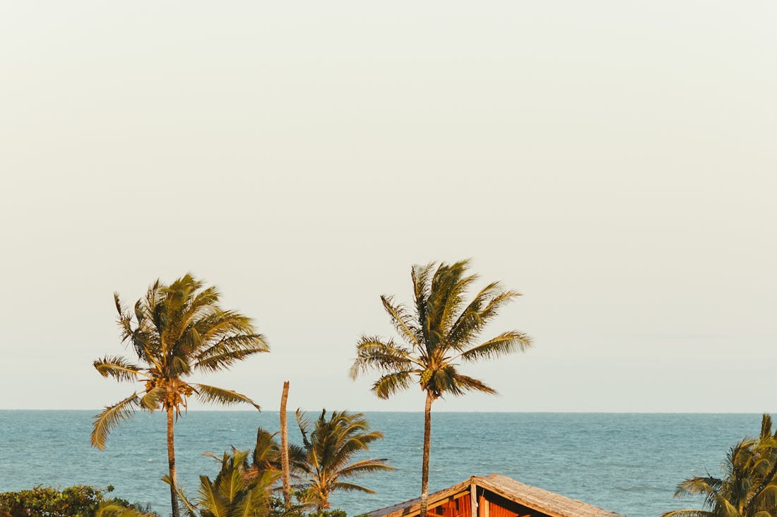Sustainable Travel Choices: Making Responsible Decisions on Your Next Vacation Image 1