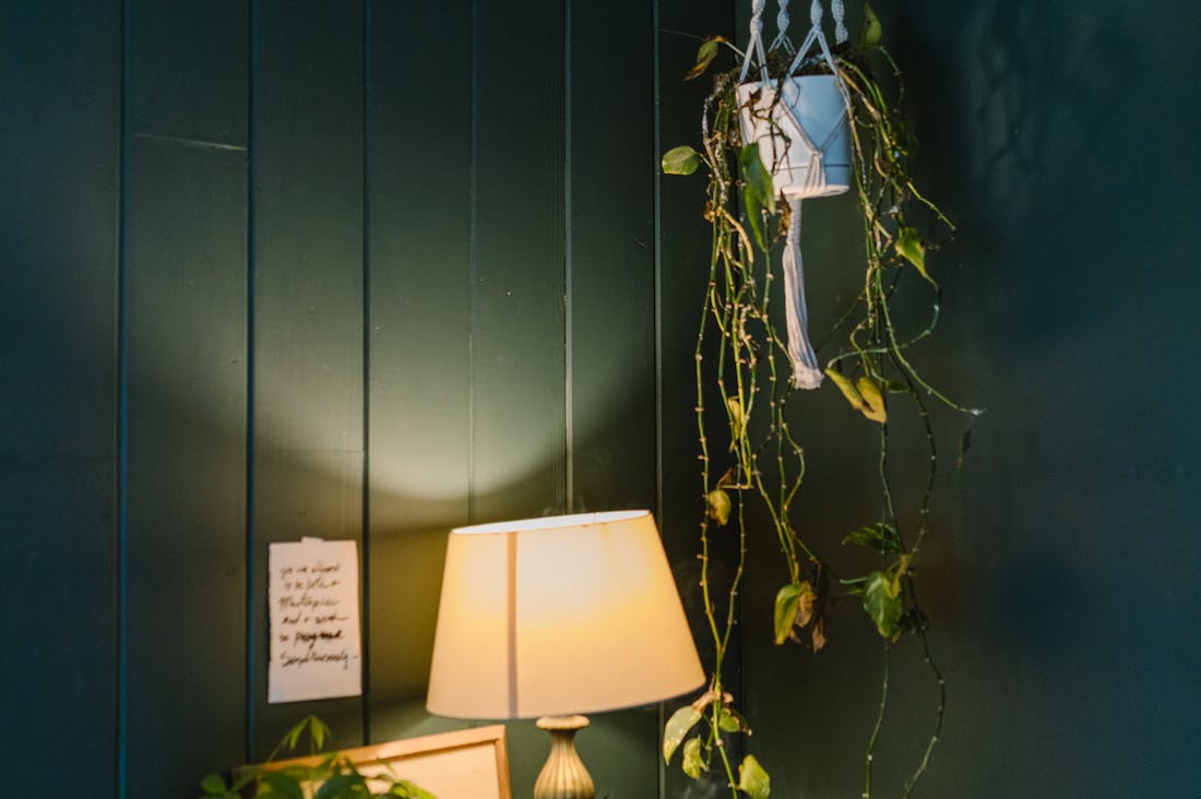 Innovative Approaches to Wellness: Beyond Traditional Health Practices Image 2