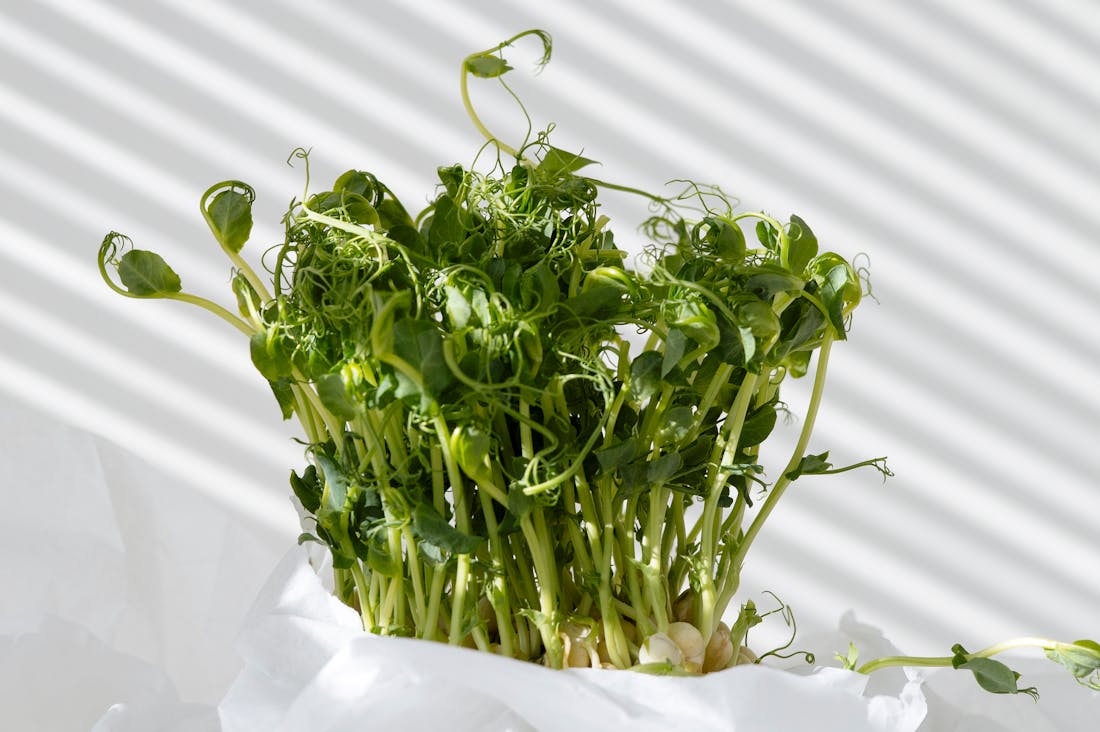 Innovative Health Habits for a Happier, Healthier You Image 2