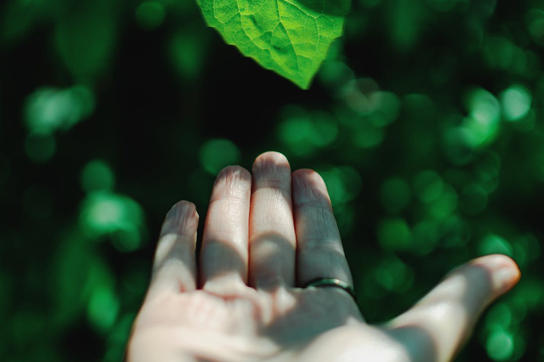 Sustainable Living Practices That Contribute to a Healthier Planet Image 2