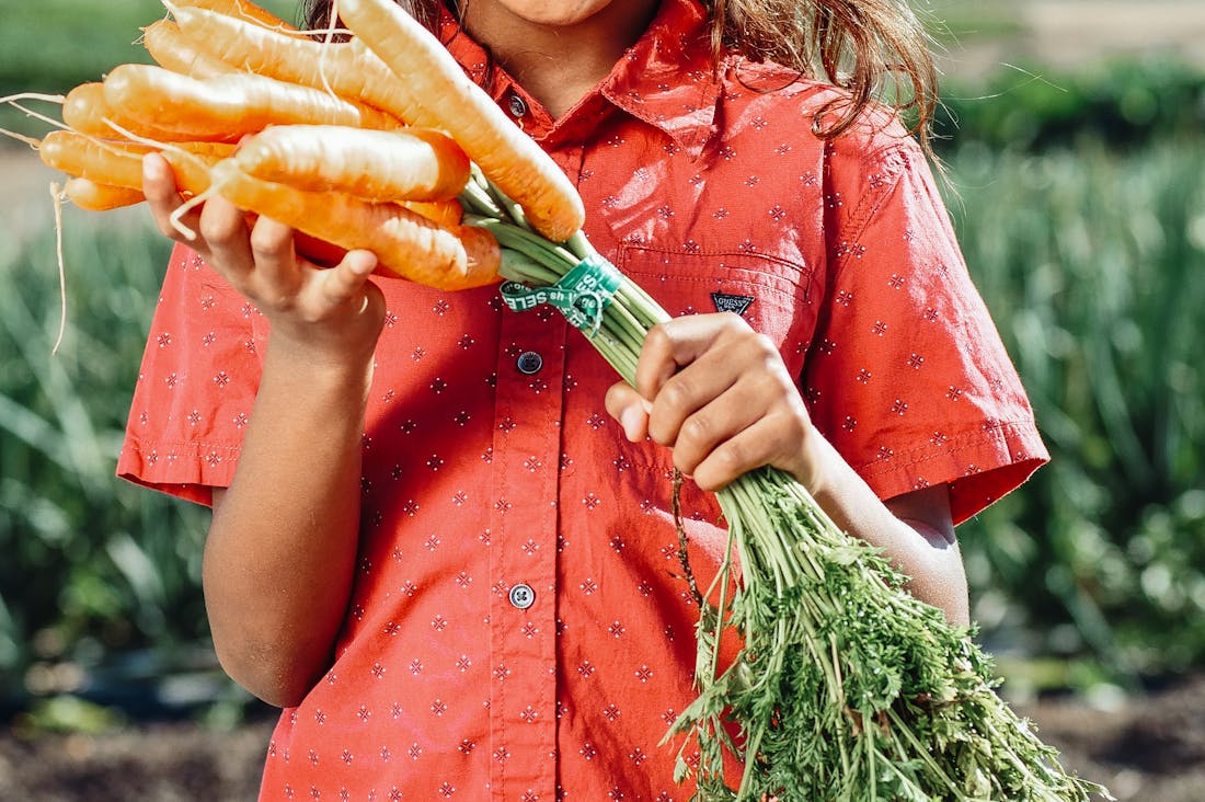 Sustainable Living Practices to Improve Your Eco-Footprint Image 2