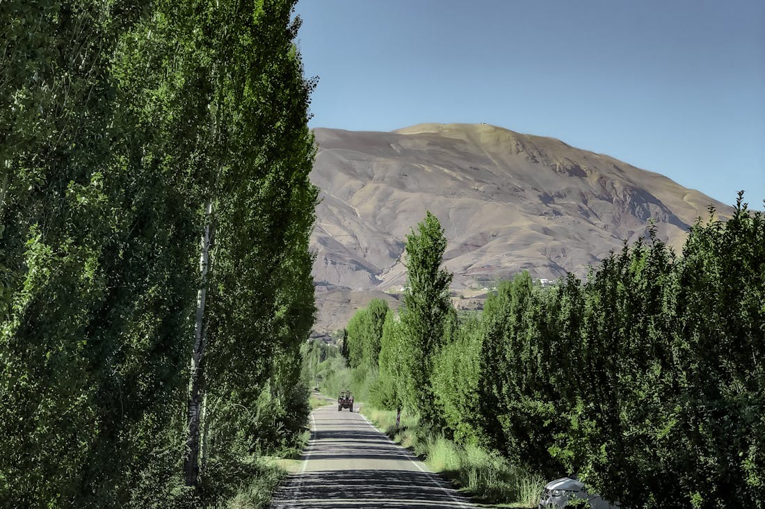 Unique Travel Experiences to Enrich Your Adventures Around the Globe Image 2