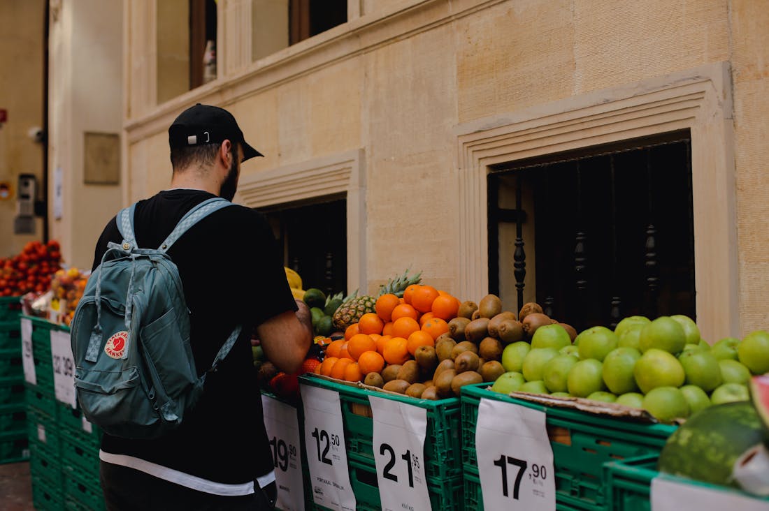 Eco-Friendly Travel Ideas for Mindful Adventurers Image 2