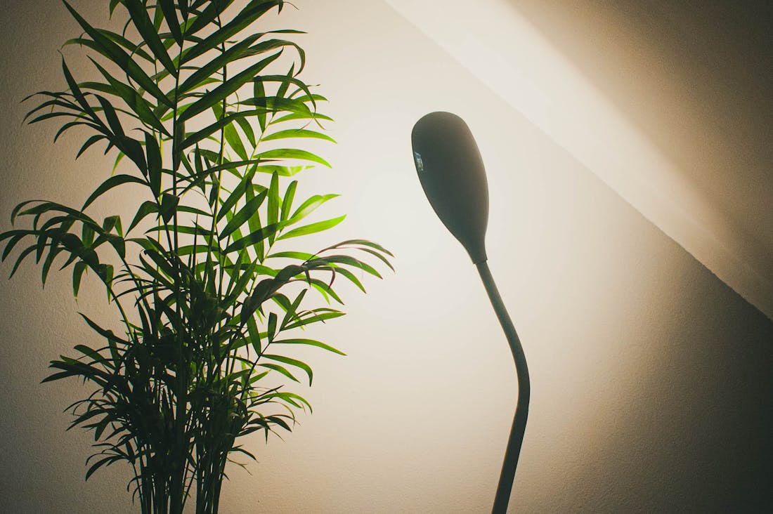 Practical Insights for Sustainable Living Without Compromising Comfort Image 3