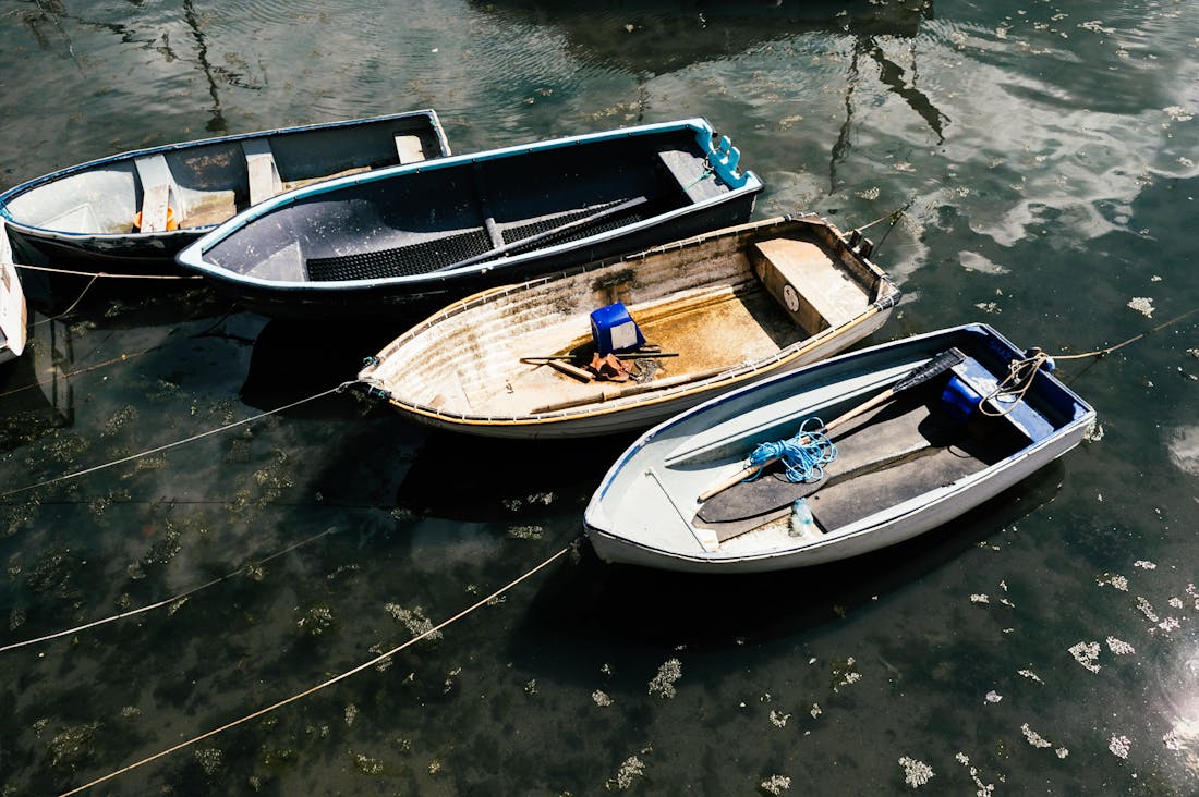 Traveling Sustainably: Adventures that Respect the Earth Image 1