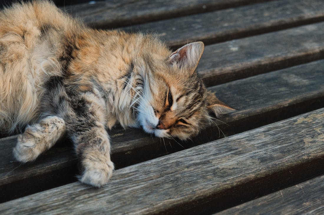 Essential Tips for Living a Balanced Lifestyle Without Burnout Image 3