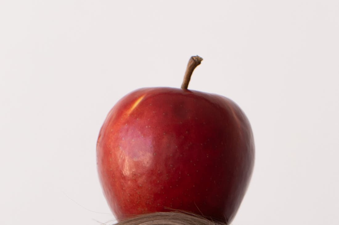 Impact of Balanced Nutrition on Mental Wellness and Productivity Image 2
