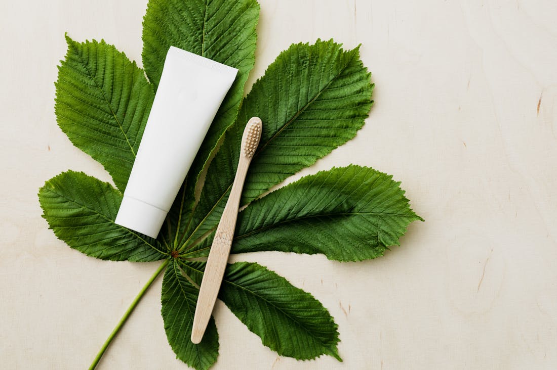 Crafting an Eco-Friendly Lifestyle: Tips for Sustainable Living Every Day