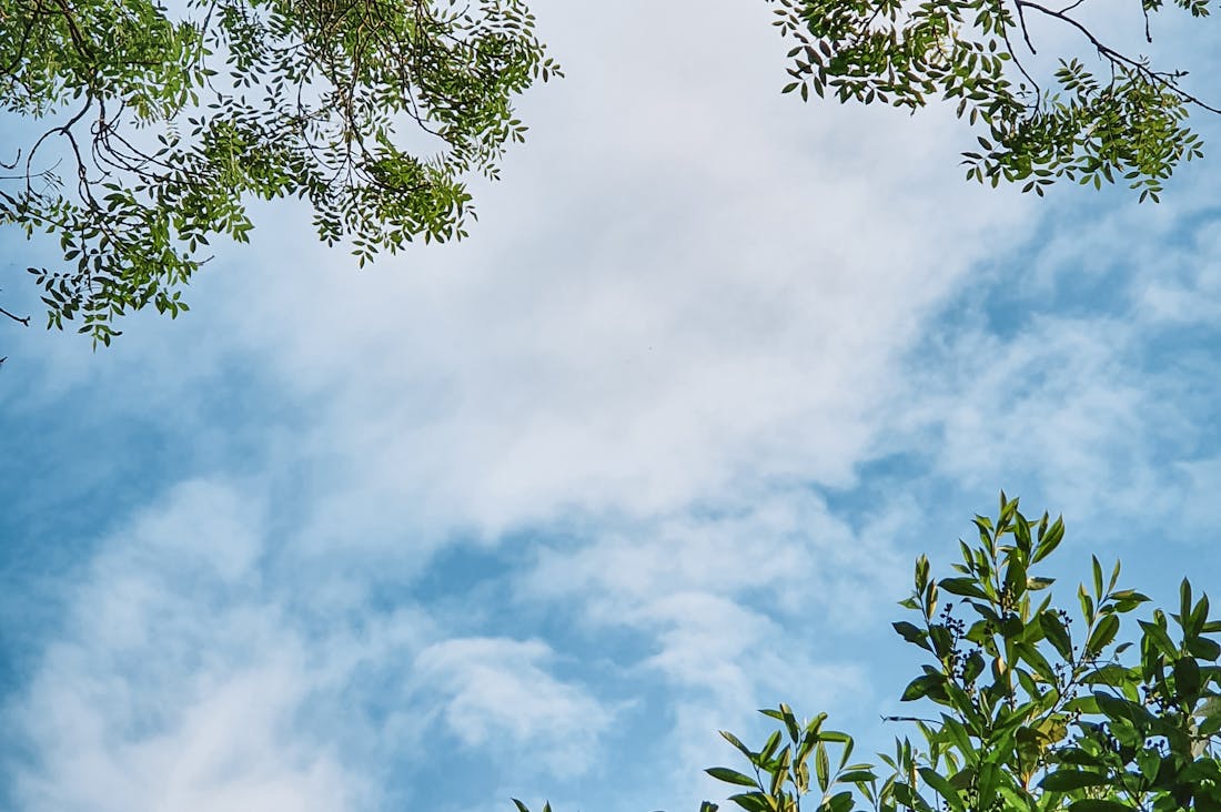 Crafting an Eco-Friendly Lifestyle: Tips for Sustainable Living Every Day Image 3