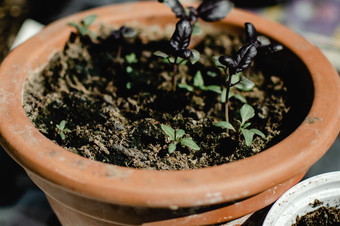 Eco-Friendly Living: Sustainable Choices for Every Home Image 3