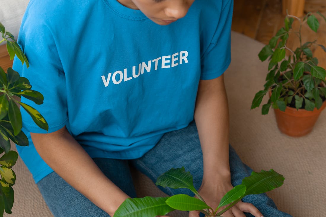 Sustainable Living Practices That Make a Difference Image 3