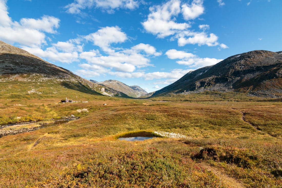 Travel Experiences That Redefine Adventure and Culture Image 3
