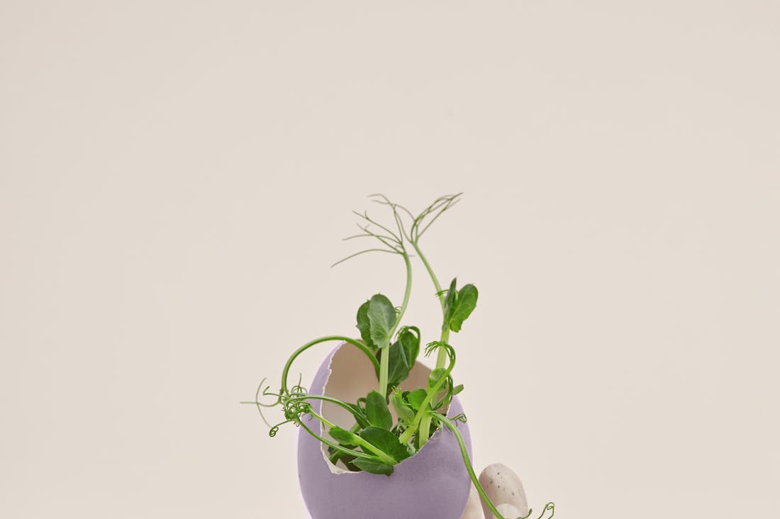 Elevating Everyday Living with Mindful Practices Image 2