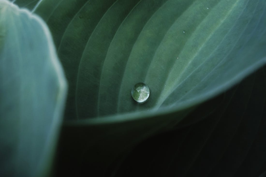 Embracing a Minimalist Lifestyle: Practical Steps Toward Simplifying Your Life Image 3