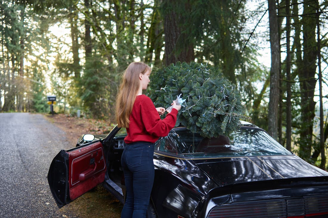 Essential Tips for Safe and Enjoyable Road Trips This Season