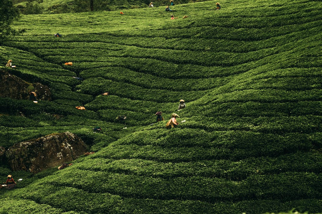 Exploring Sustainable Travel: How to Make Your Adventures Eco-Friendly Image 1