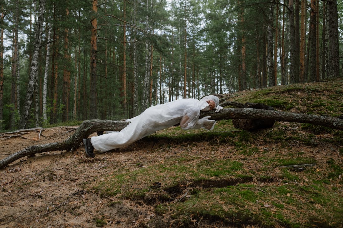 Sustainable Travel Practices: Creating Eco-Friendly Adventures for the Conscious Traveler Image 1