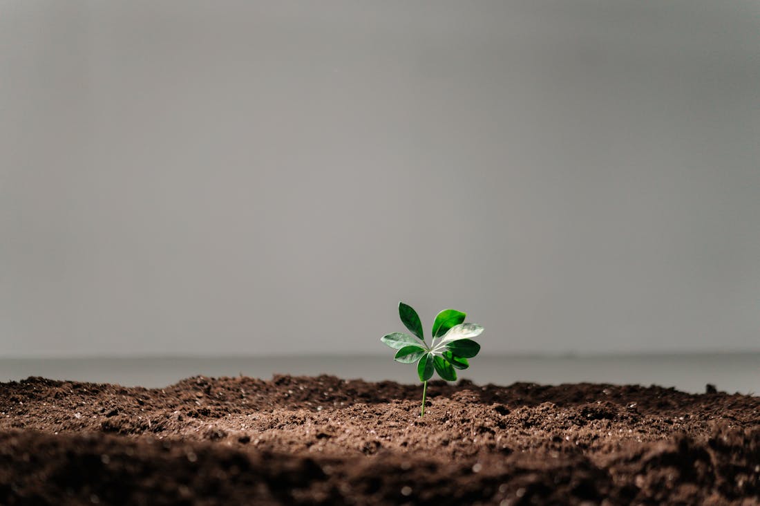 Tech Trends Shaping Our Future: Insight into Innovations to Watch