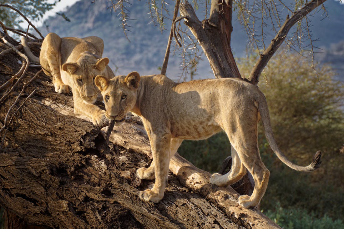 Rediscovering Adventure: A Deep Dive into Sustainable Travel for the Modern Explorer Image 3