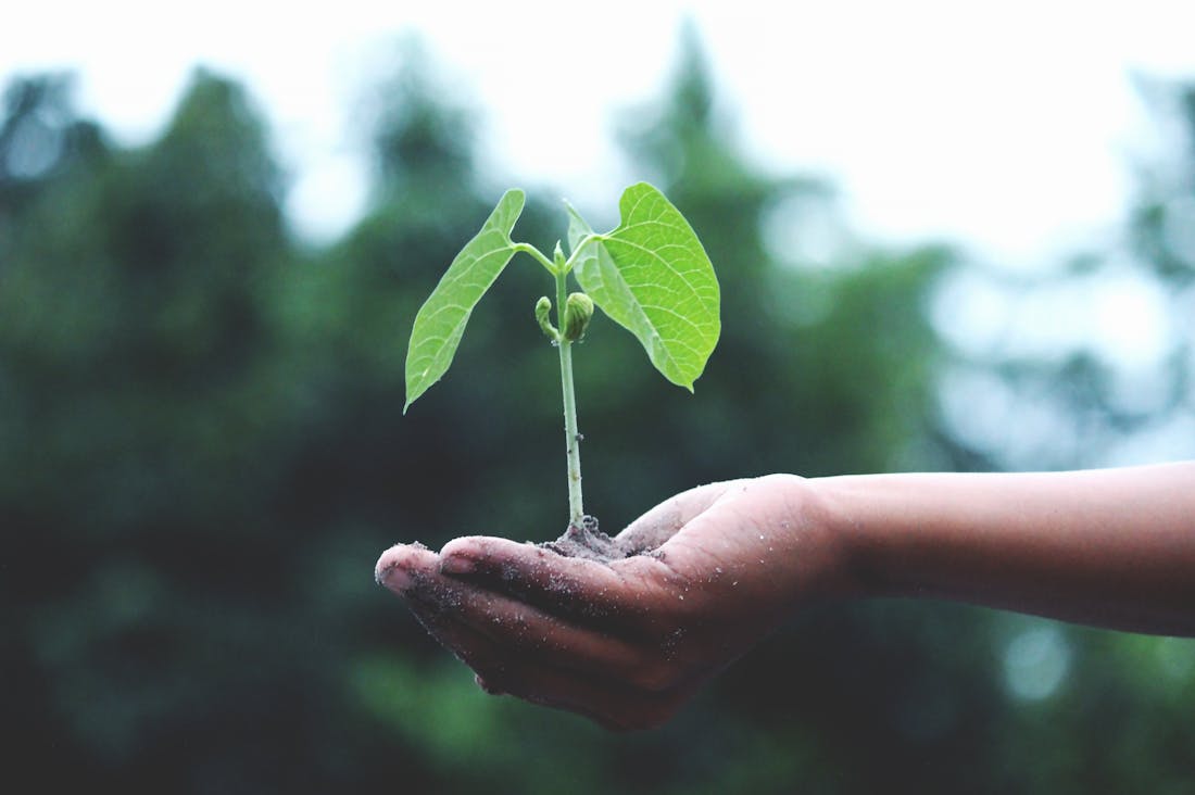 The Future of Technology: How Emerging Innovations are Shaping Our Lives Image 3