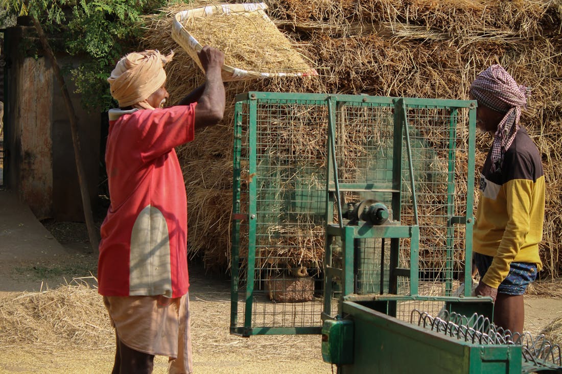 Traveling Sustainably: Tips for Eco-Conscious Travelers to Explore the World Responsibly Image 3