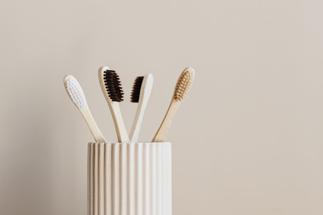 Trends Influencing Sustainable Living and Eco-Friendly Choices Image 1