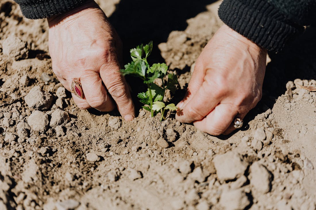 Navigating the Future of Eco-Friendly Travel: Sustainable Choices for Mindful Explorers Image 1