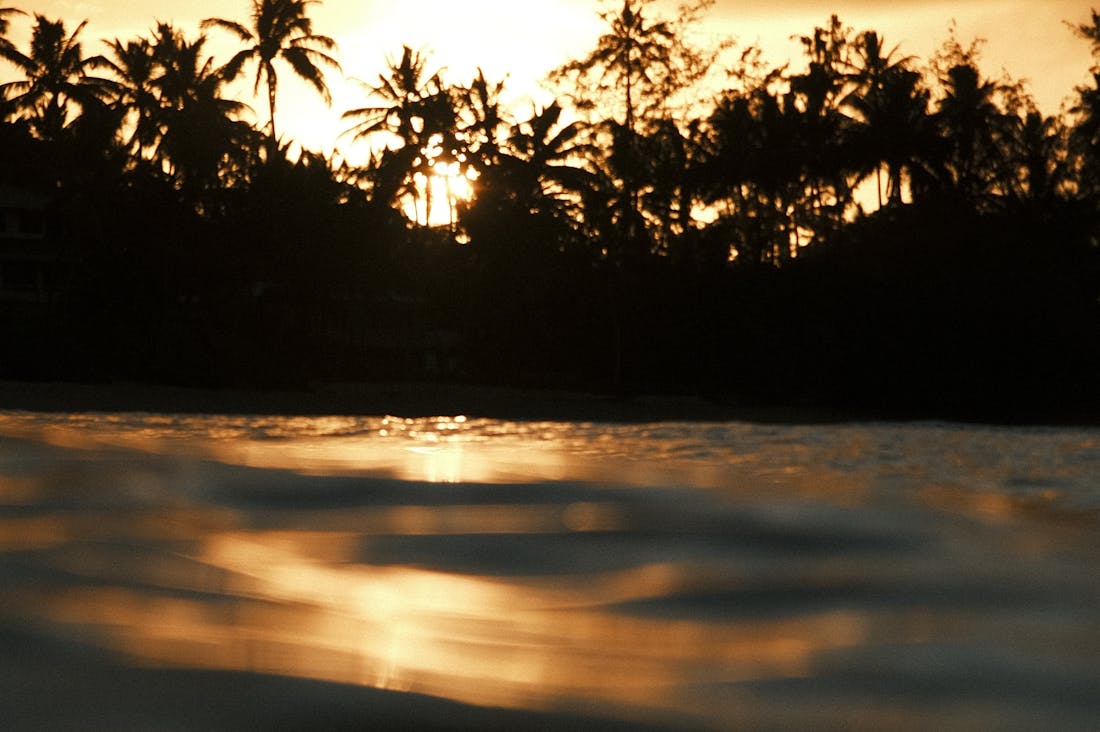 The Road Less Traveled: How Sustainable Travel Can Change the Way We See the World