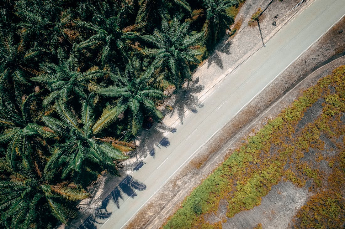 Practical Strategies for Sustainable Travel Without Sacrificing Adventure Image 1