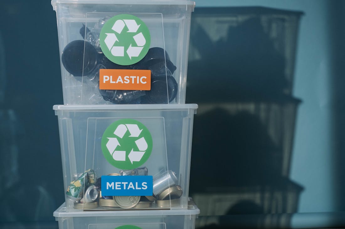 Sustainable Lifestyle Choices for Environmentally Conscious Consumers