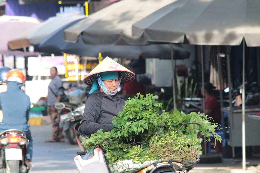 Traveling Sustainably: Embracing Eco-Friendly Adventures Image 3
