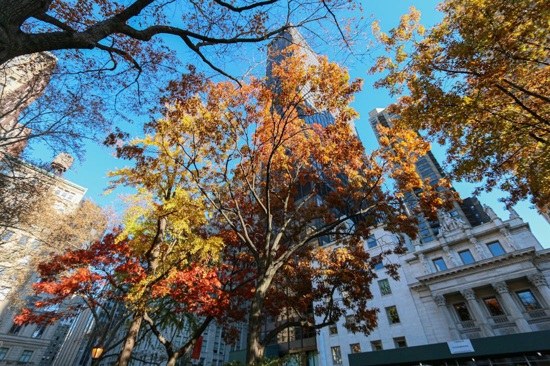 Essential Tips for Choosing the Right Travel Destination Year-Round Image 1