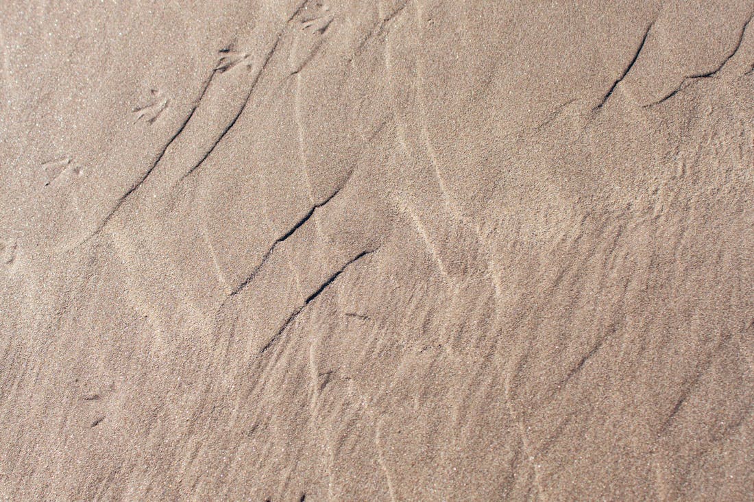 Redefining Travel: Sustainable Practices for Modern Explorers Image 3