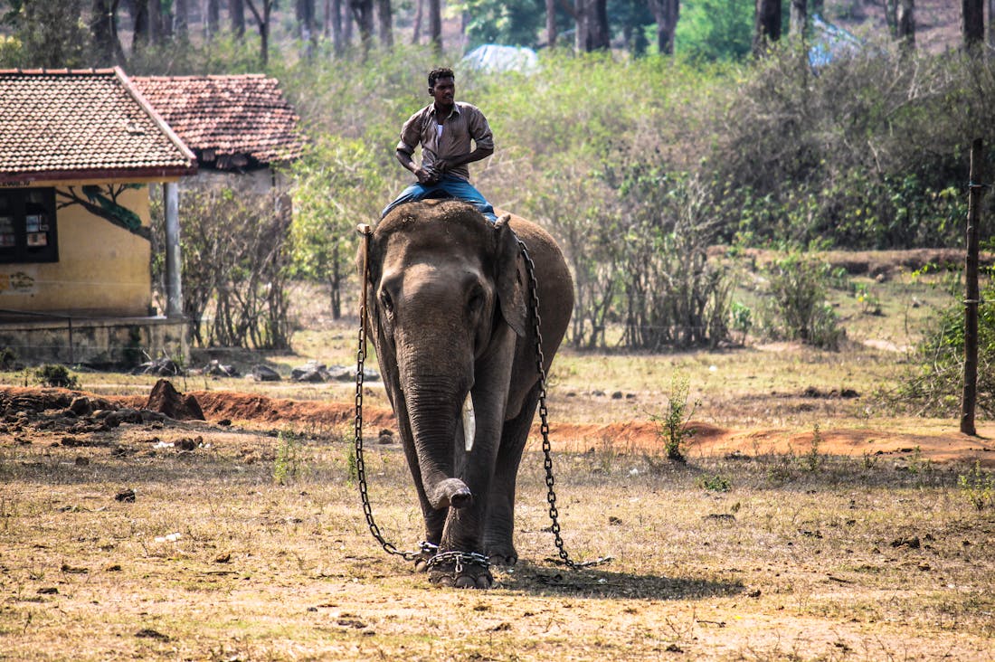 Traveling Sustainably: Making Eco-Conscious Choices on Your Next Trip Image 3