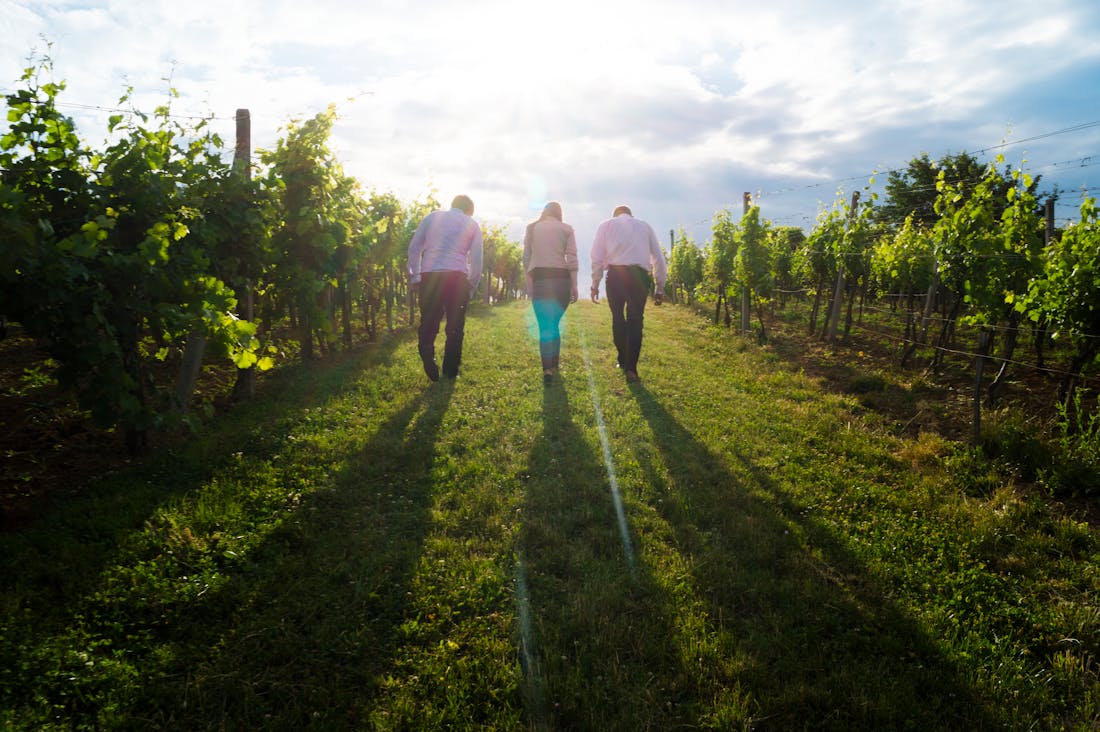 Trustworthy Tips for Traveling Sustainably Without Compromising Fun Image 2