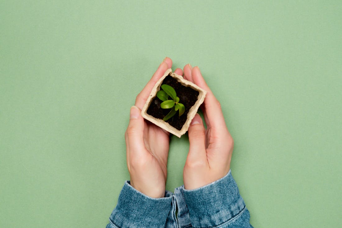 Crafting a Sustainable Lifestyle: Simple Changes for a Greener Future Image 1