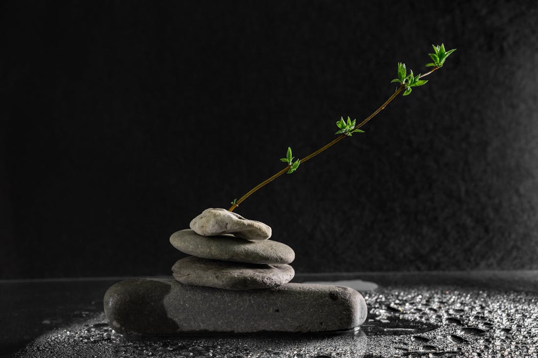 Smart Financial Habits for Building Long-Term Wealth Over Time Image 2