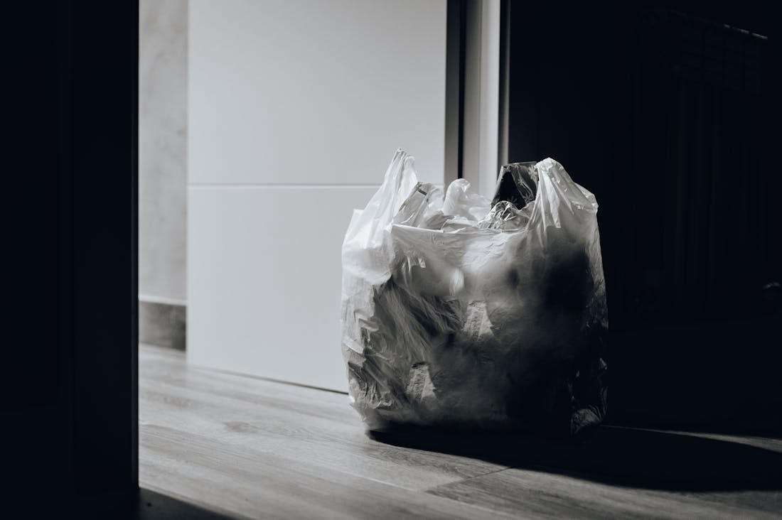 Sustainable Living Practices That Anyone Can Adopt for an Eco-Friendly Lifestyle