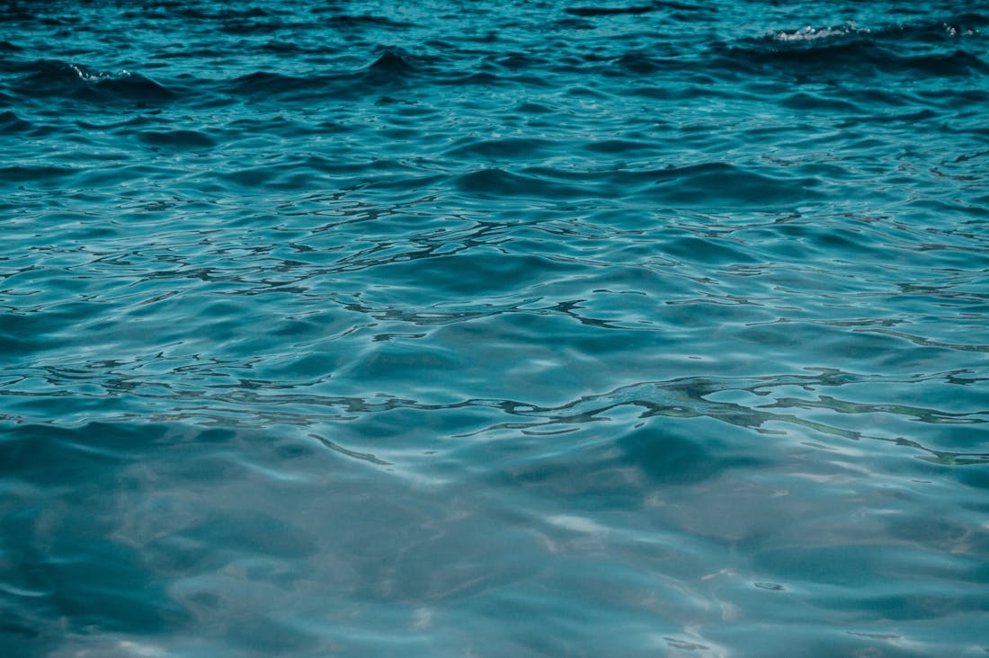 Traveling Sustainably: Environmental Impact and Ethical Choices Image 2