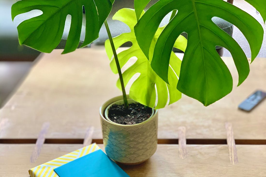 Green Living: Innovative Ways to Make Your Home More Eco-Friendly and Sustainable Image 3