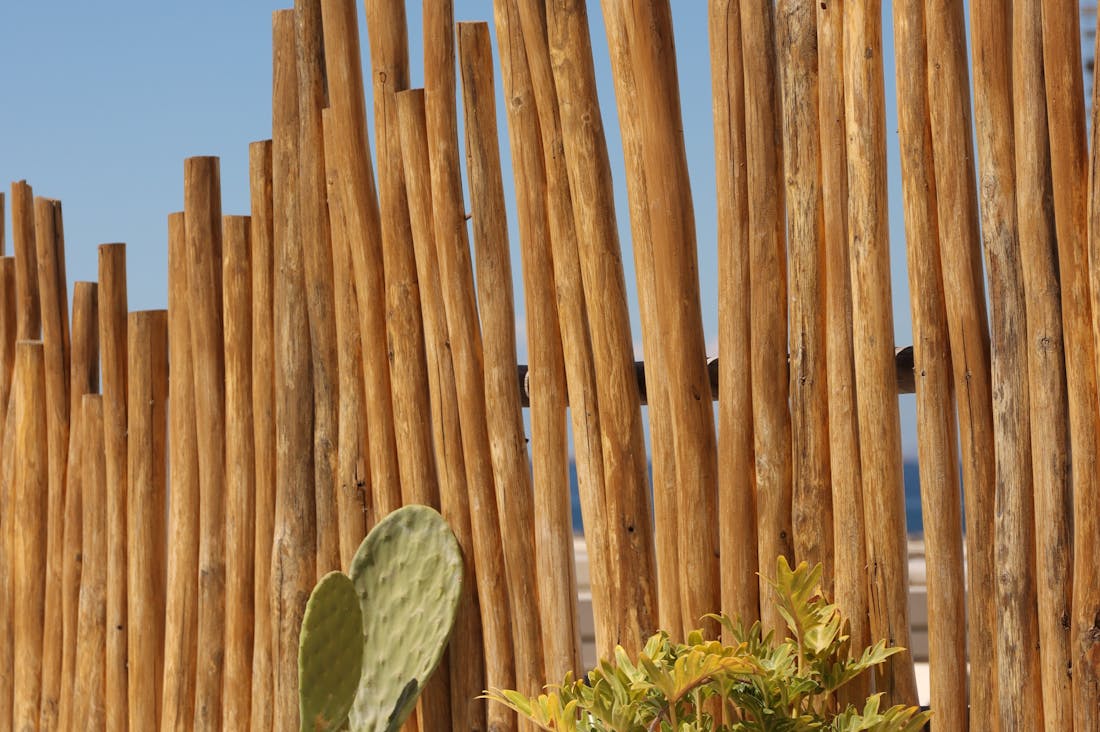 Redefining Adventure: How Sustainable Travel Can Enrich Your Experience