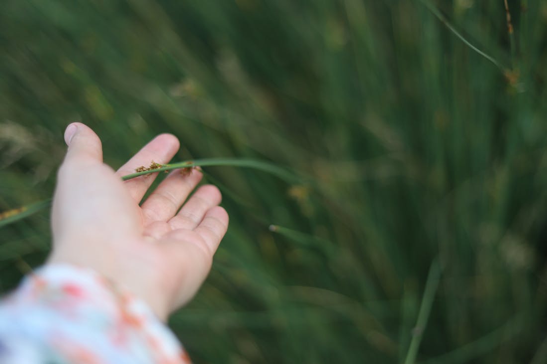 Reimagining Work-Life Balance: Strategies for Thriving in a New Era of Remote Work Image 2