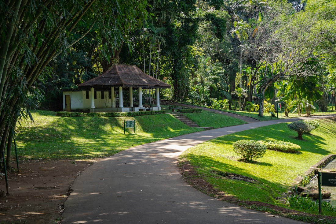 The Empowering Benefits of Sustainable Travel: How Conscious Choices Can Enhance Your Adventures Image 3
