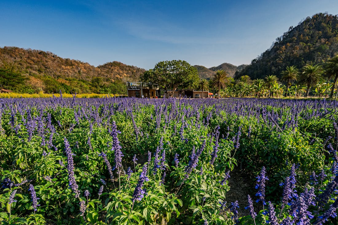 Essential Tips for Sustainable Travel in Today’s World Image 1