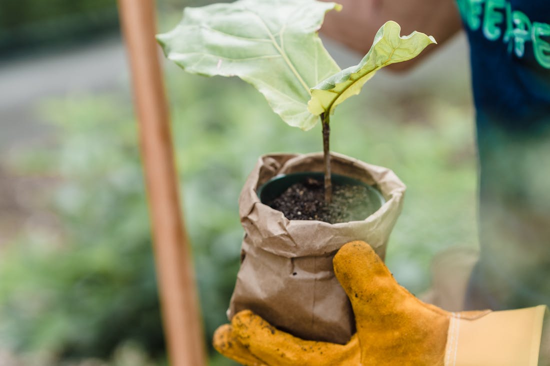 Lifestyle Changes for Sustainable Living: Small Steps That Make an Impact Image 1
