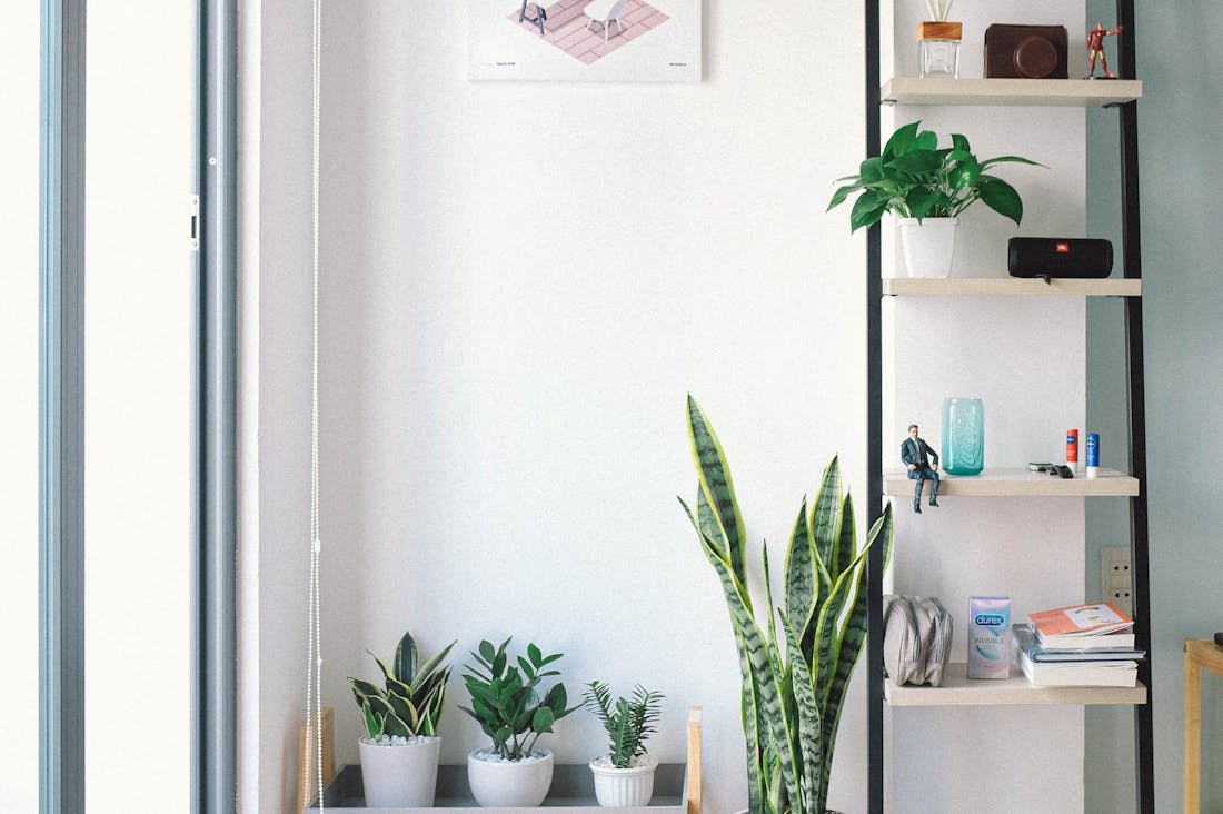 The Digital Home: How Technology is Transforming Our Living Spaces Image 1